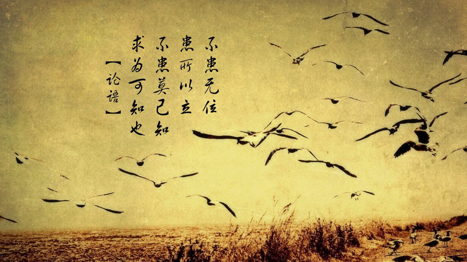 开云体育登录-绿茵场上的三分雨，2026世界杯之夜，克莱·汤普森如何点燃十六万人球场