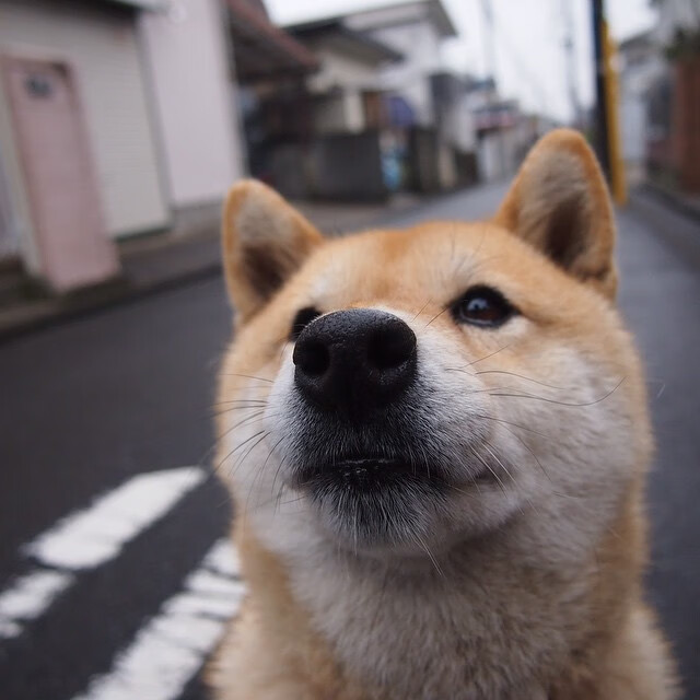 一场长达95分钟的谎言,佩德里如何用60秒戳穿了它