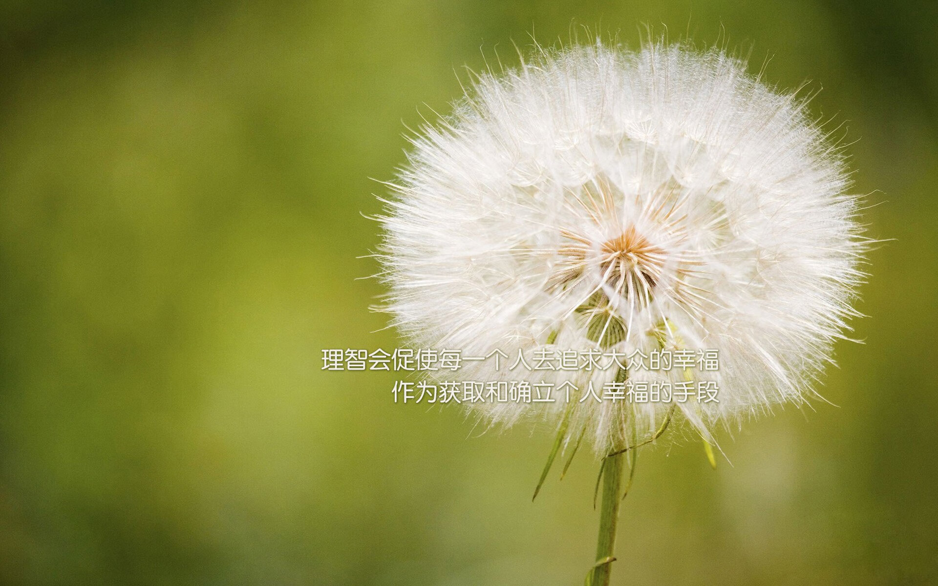 从二轮秀到绝对核心，布伦森爆砍47分，爵士高原客场强势掀翻掘金