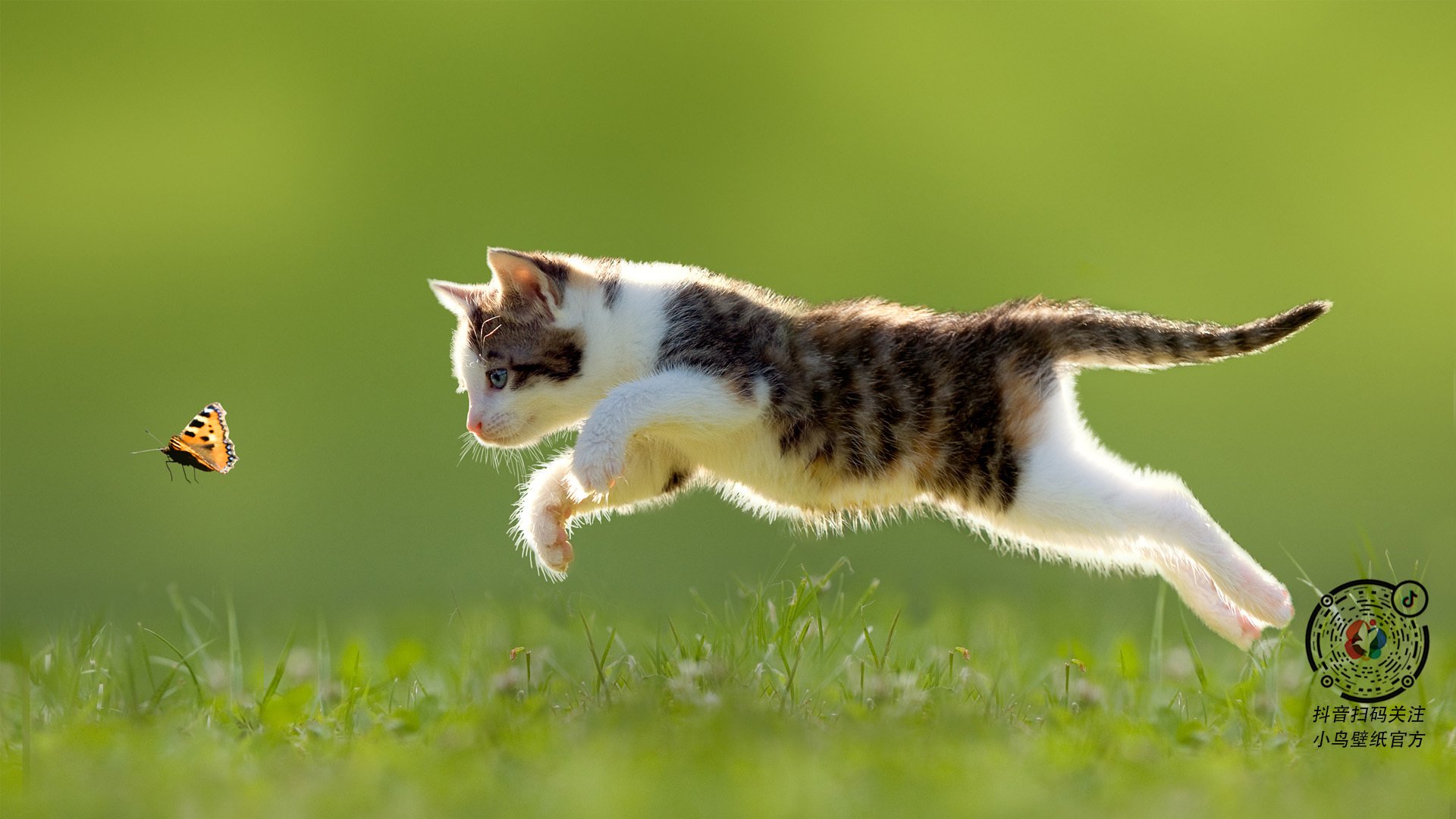 开云体育APP下载-双线胜利，芬兰足球的突破与阿劳霍的赛道征服