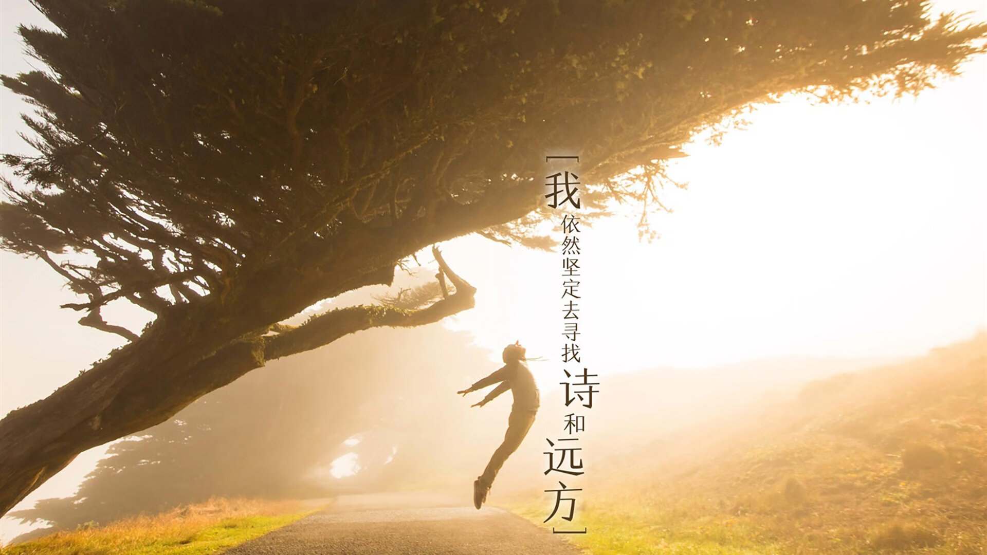 雪山崩塌前,那位沉默的骑士抖开了他的披风