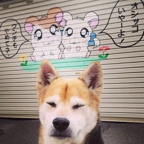 塔图姆轰47分撕裂上海防线！开拓者第三节暴走终结悬念