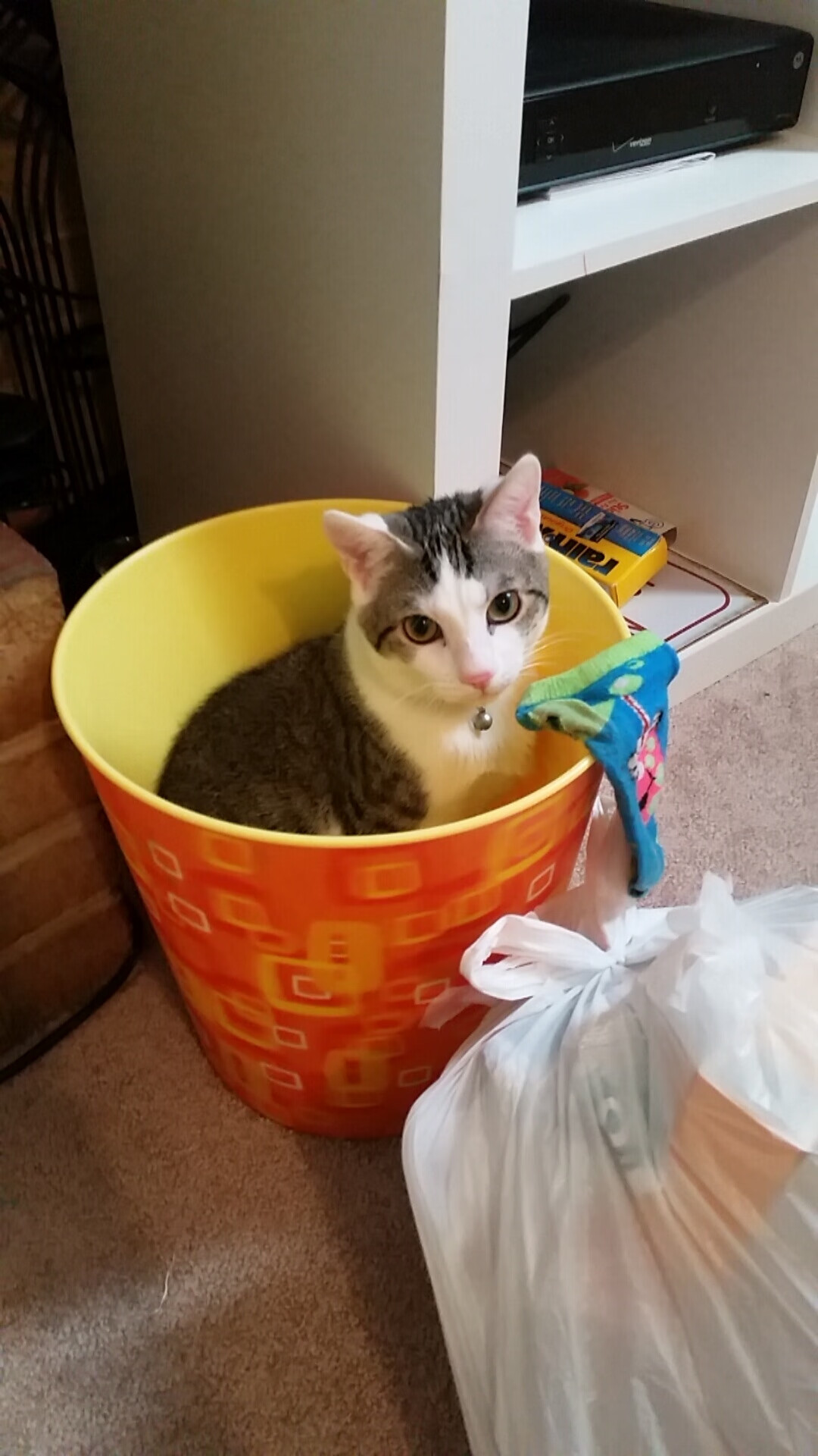 双线风暴,巴黎的欧冠宣言与劳塔罗的英超征服