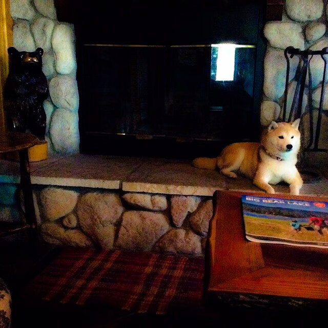 世纪投射，当深圳的韧劲遇见文班亚马的答案